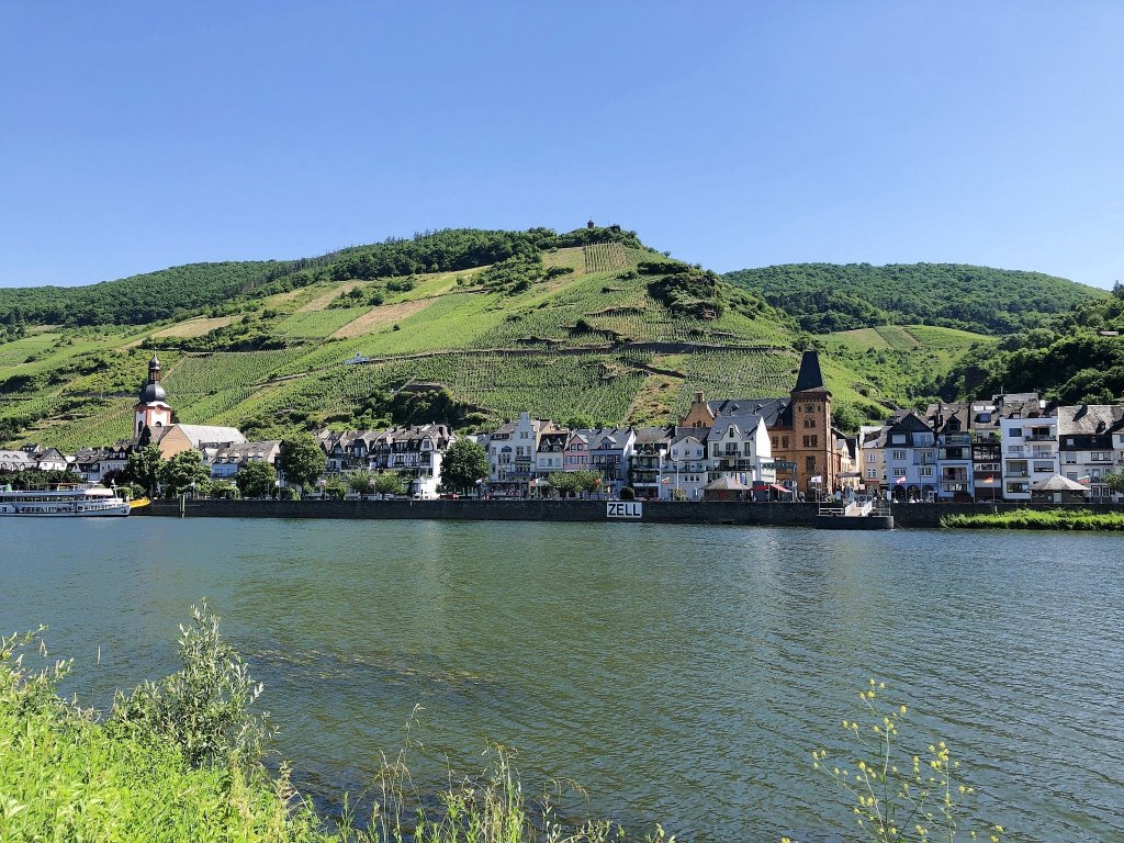 Blick auf Zell an der Mosel