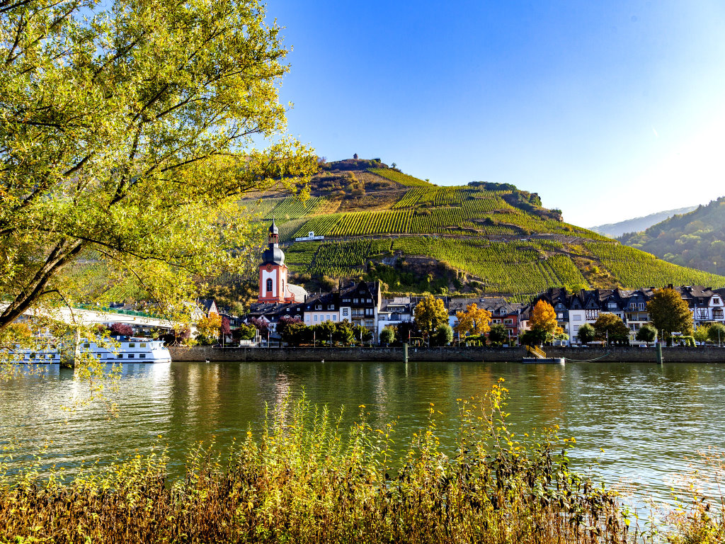 Blick auf Zell an der Mosel