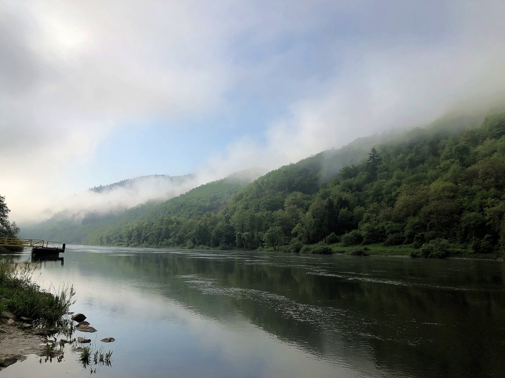 Morgenstimmung mit Nebel über der Mosel