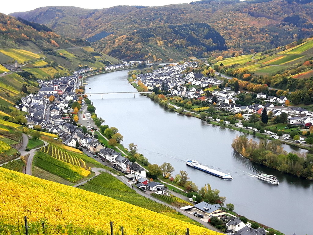 Blick auf Zell an der Mosel